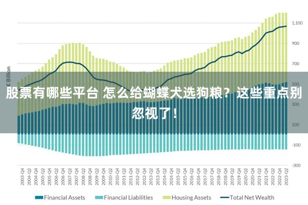 股票有哪些平台 怎么给蝴蝶犬选狗粮？这些重点别忽视了！