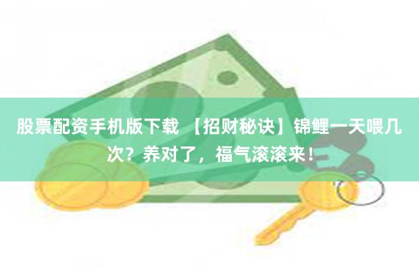 股票配资手机版下载 【招财秘诀】锦鲤一天喂几次？养对了，福气滚滚来！