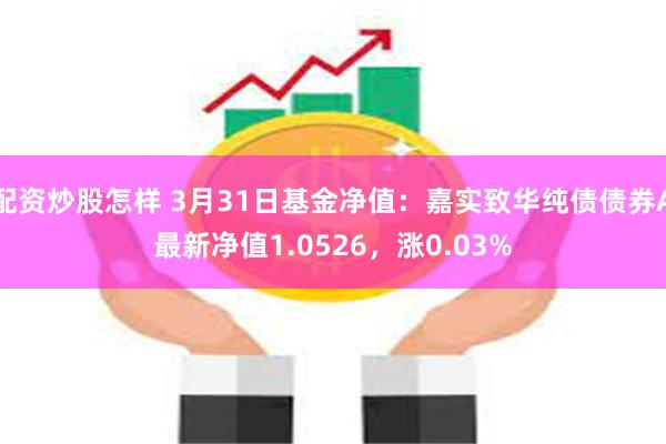 配资炒股怎样 3月31日基金净值：嘉实致华纯债债券A最新净值1.0526，涨0.03%