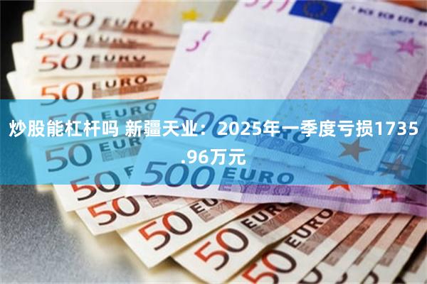 炒股能杠杆吗 新疆天业：2025年一季度亏损1735.96万元