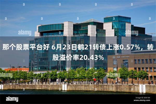 那个股票平台好 6月23日鹤21转债上涨0.57%，转股溢价率20.43%